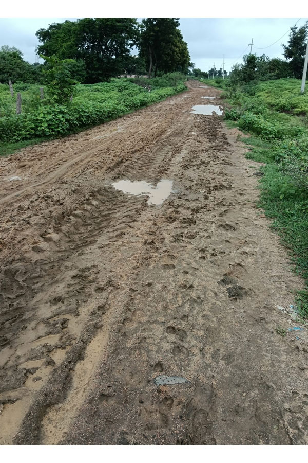 Kasturba School Road | చినుకు పడితే చిత్తడే.. 1 Tadwai Kasturba School road problem2