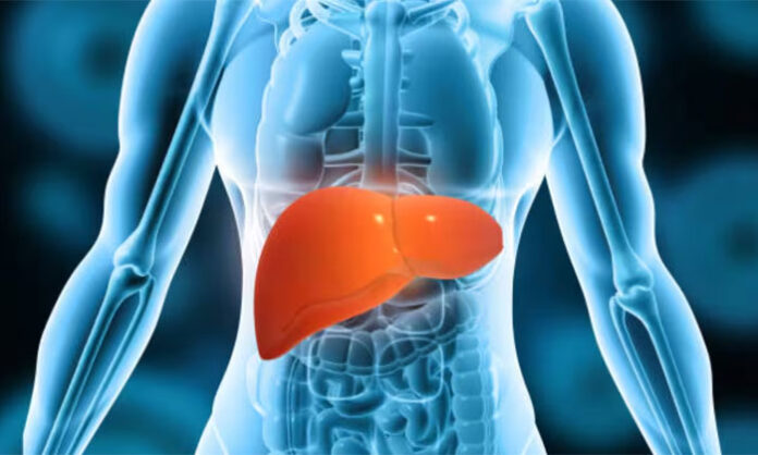 Healthy diet and food choices recommended for people managing fatty liver