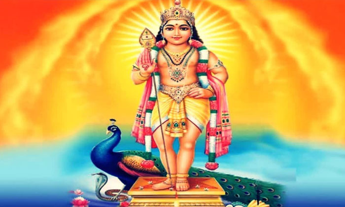 Subrahmanya Swamy | సుబ్రహ్మణ్య స్వామిని పూజిస్తే దోషాలు తొలుగుతాయి.. 1 aadi krittika subrahmanya puja significance benefits