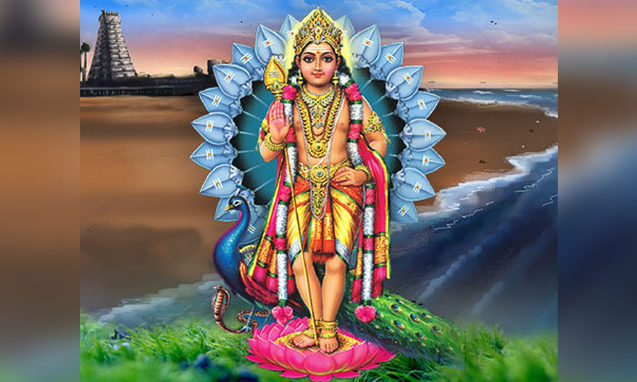 Subrahmanya Swamy | సుబ్రహ్మణ్య స్వామిని పూజిస్తే దోషాలు తొలుగుతాయి.. 2 aadi krittika subrahmanya puja significance benefits1