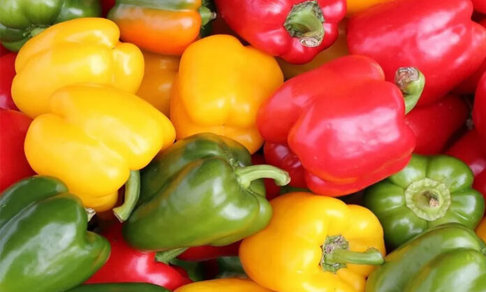 Red and yellow capsicum provide antioxidants, carotenoids and other beneficial nutrients