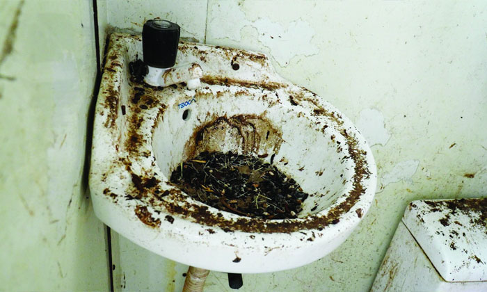 Hyderabad Loo Cafe Project Allegations20