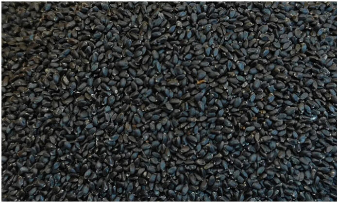 Sabja seeds soaked in water are highlighted as a fiber-rich food for constipation relief