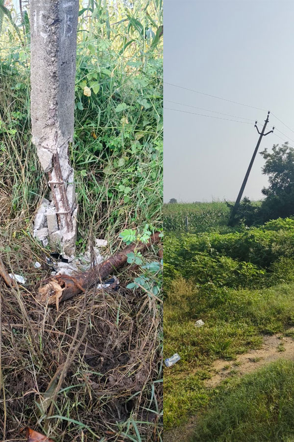 Tadwai Transco AE Karunakar Farmers Electricity Complaints0