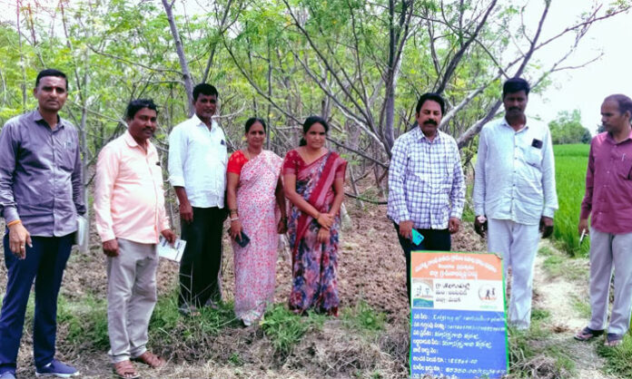 SERP officials inspect Saranya drumstick leaf products unit in Sheelampalli village