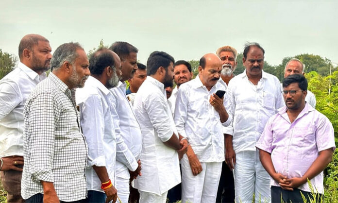 Sangareddy MLA Chinta Prabhakar inspects withered paddy crops in Kondapur and speaks with distressed farmers about irrigation and electricity problems.