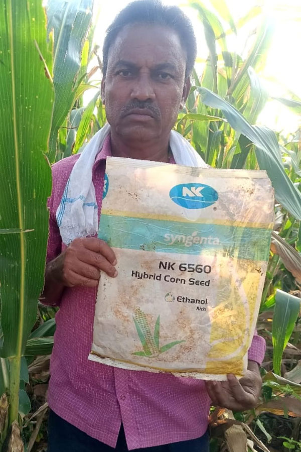 Fake Seeds | నకిలీ విత్తనాల మాయాజాలం: నిండా మునుగుతున్న అన్నదాతలు! 3 Fake Seed Allegations Leave Tadwai Farmer in Loss00