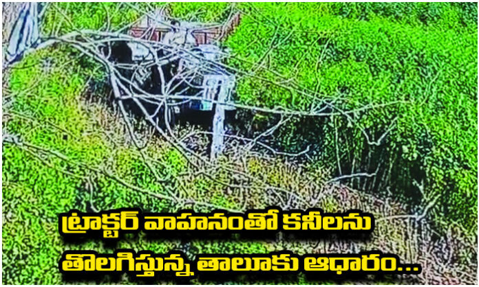 Land-grabbing allegations in Girnibavi village of Duggondi mandal, Warangal district, involving plots behind the Jyotirao Phule School and demands for an official inquiry.