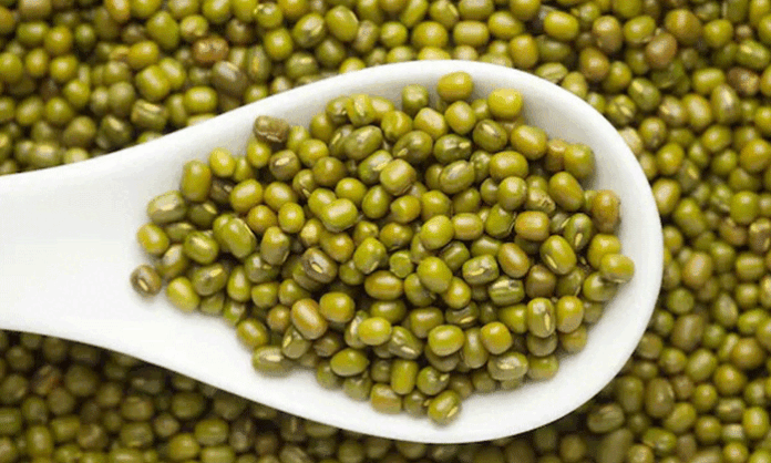 Green gram provides protein, fiber, vitamins and essential minerals