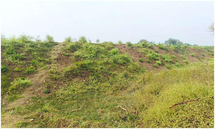Musi River Encroachment Allegations in Mokila Shankarpally1