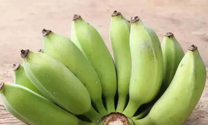Raw bananas shown as a nutrient-rich food that may support digestion, weight management and blood sugar control