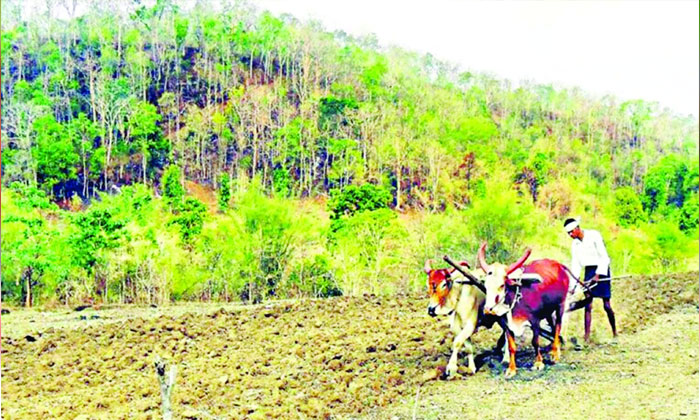 Tribal Land Encroachment Allegations in Telangana Agency Areas