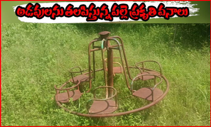 Neglected village nature park in Jagadevpur Mandal with overgrown vegetation, garbage and rusted play equipment