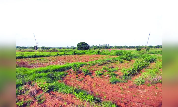 Tribal Land Rights | అడవి బిడ్డల భూములపై ఆధిపత్యమెవరిది..? 1 tribal land grabbing allegations bhadradri kothagudem